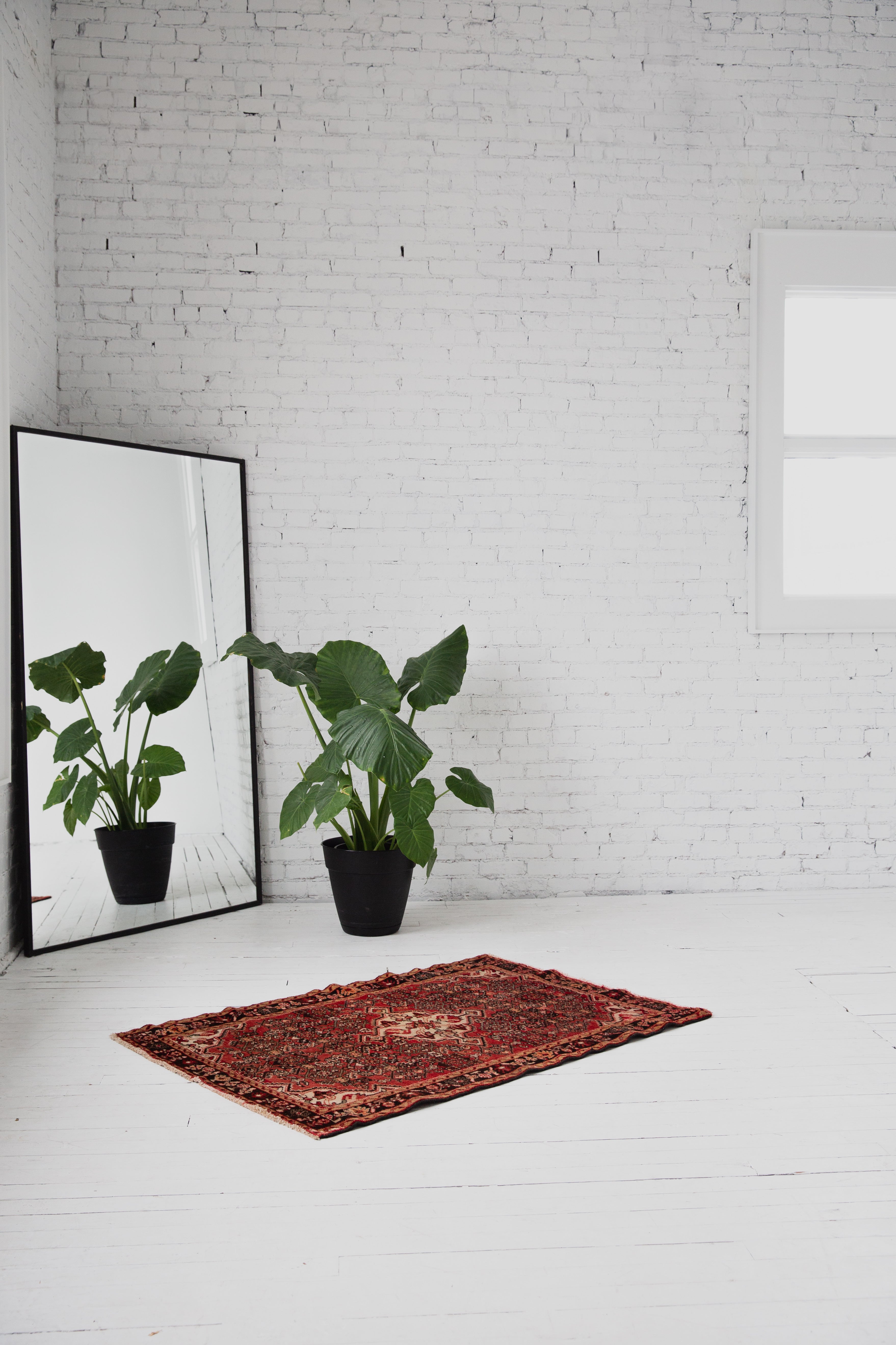 The Maku Rug