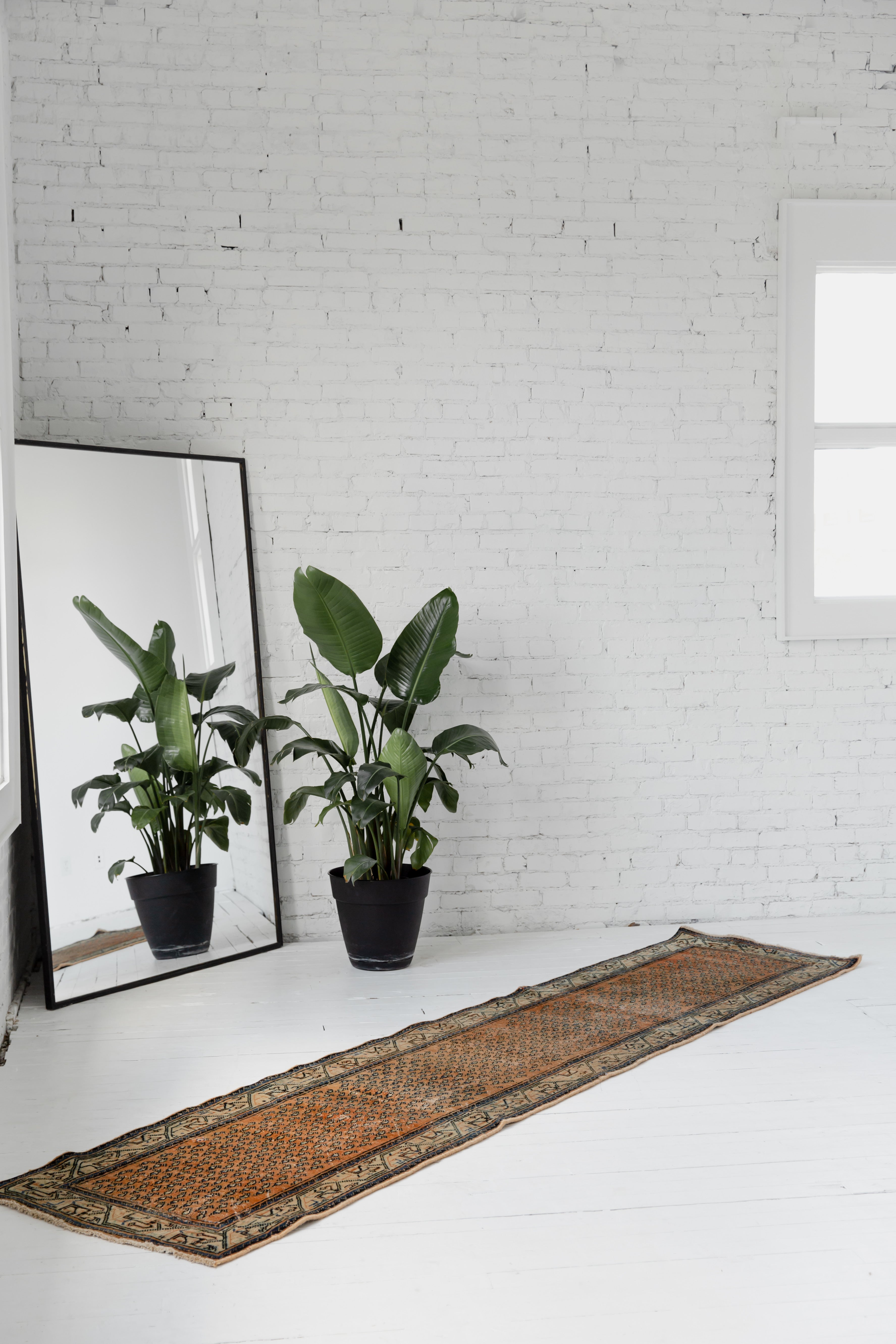 The Tabriz Rental